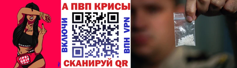 A-PVP СК  Лениногорск 