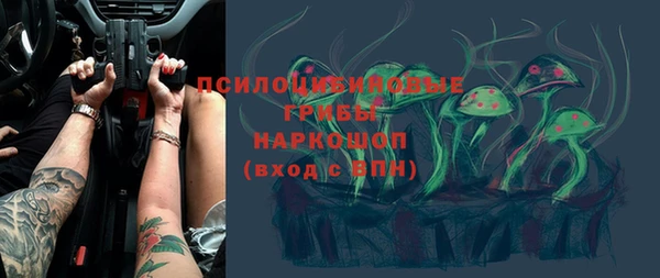 СК Алексеевка