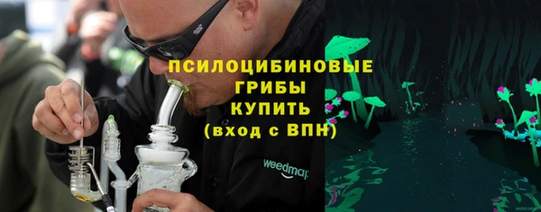 ECSTASY Алзамай