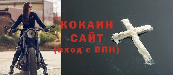 ECSTASY Алзамай
