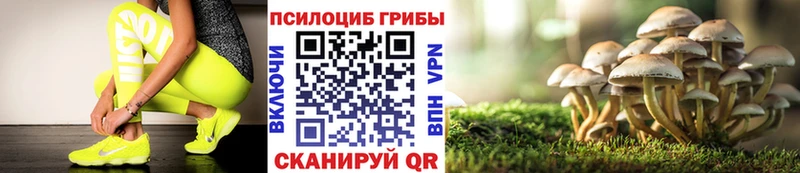 цены Лениногорск Псилоцибиновые грибы ЛСД